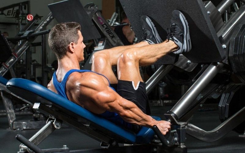 Leg Press l&agrave; b&agrave;i tập thể h&igrave;nh sử dụng m&aacute;y tập chuy&ecirc;n dụng để t&aacute;c động đến c&aacute;c nh&oacute;m cơ ở phần th&acirc;n dưới