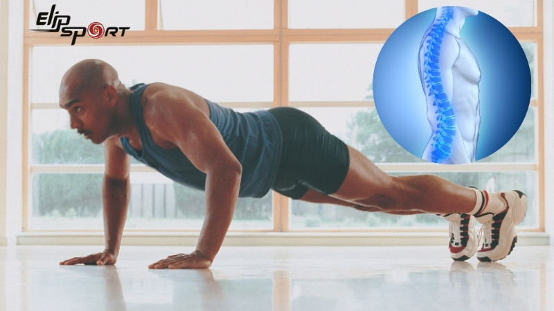 Tập lưng dưới để n&acirc;ng cao hiệu quả bảo vệ cơ lưng