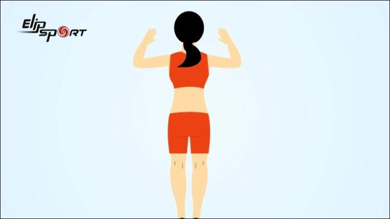 B&agrave;i tập Shoulder blade squeeze