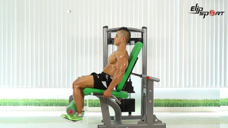 M&aacute;y tập đ&aacute; đ&ugrave;i ELIP AC038