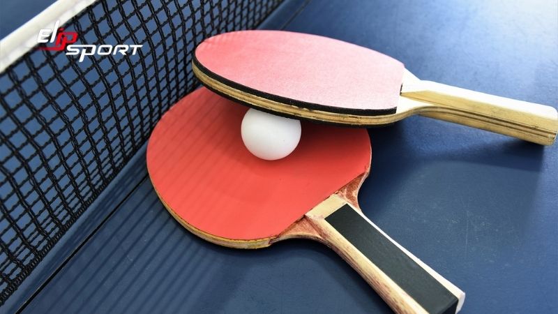 Thuật ngữ về c&aacute;c trang thiết bị b&oacute;ng b&agrave;n