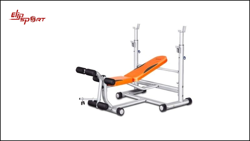 Ghế đẩy tạ đa năng DL- 2649