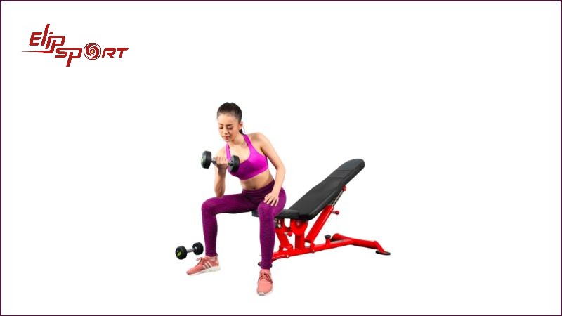 M&aacute;y tập thể h&igrave;nh, gym đa năng ELIP YL37