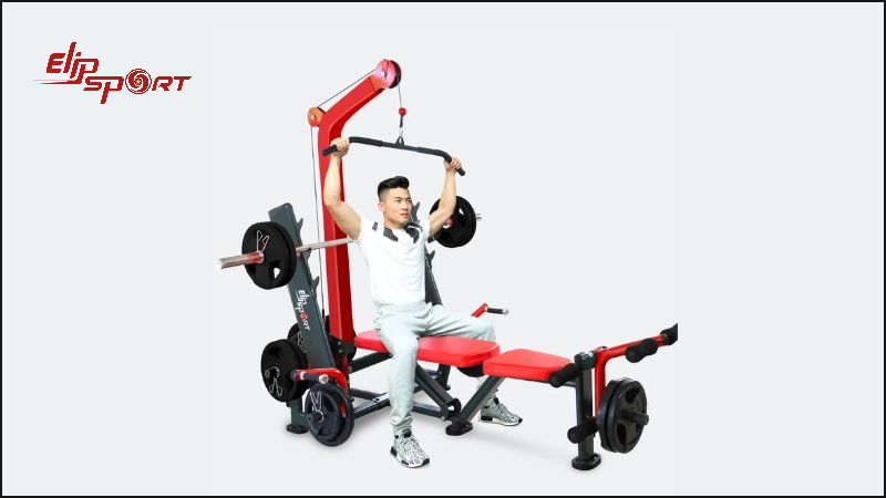 Đ&acirc;y l&agrave; một loại m&aacute;y tập thể h&igrave;nh phổ biến m&agrave; mọi ph&ograve;ng tập thể dục