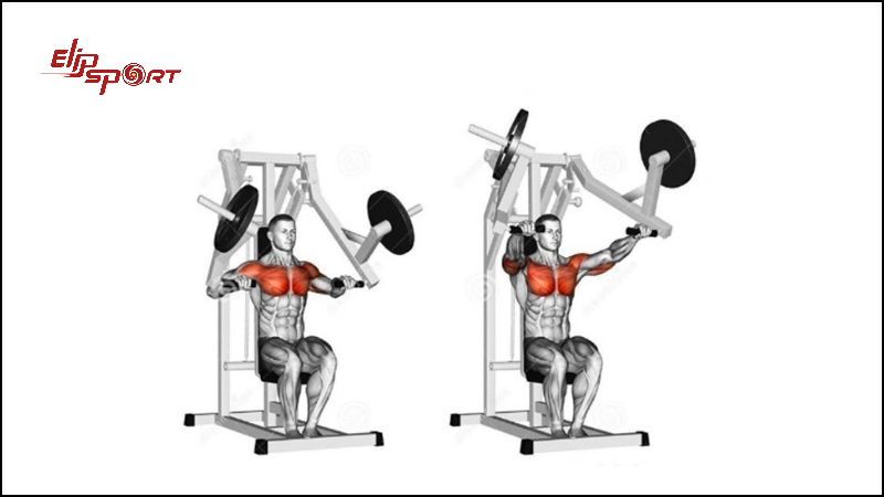 M&aacute;y tập ngực ngồi