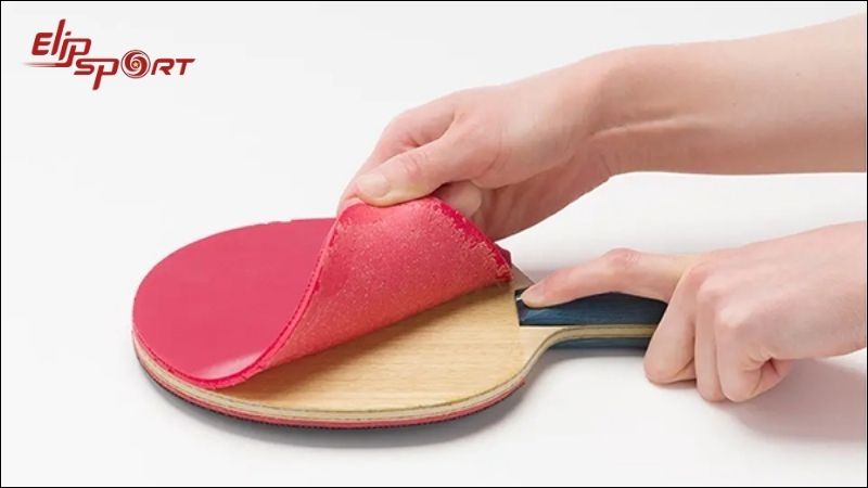 Cẩn thận d&aacute;n miếng m&uacute;t l&ecirc;n bề mặt vợt