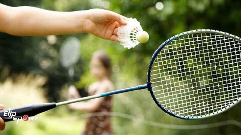 Giới thiệu bộ m&ocirc;n cầu l&ocirc;ng