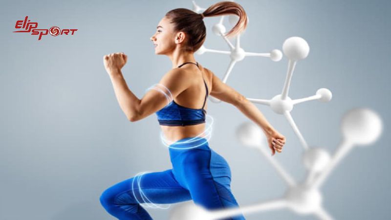 Hạt đ&aacute;c gi&uacute;p tăng cường khả năng hấp thụ canxi v&agrave; magie cho cơ thể