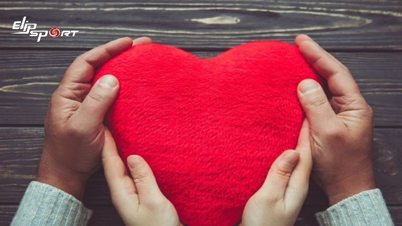 C&aacute;c chất dinh dưỡng c&oacute; trong hạt đ&aacute;c c&oacute; vai tr&ograve; t&iacute;ch cực trong việc điều chỉnh h&agrave;m lượng cholesterol