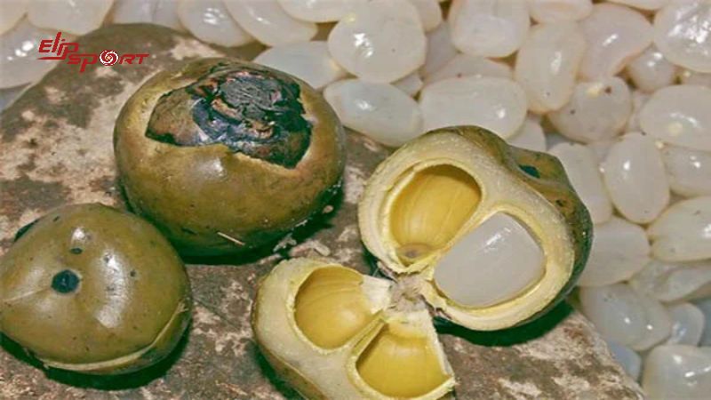 Bạn c&oacute; thể mua hạt đ&aacute;c ở nhiều nơi kh&aacute;c nhau bao gồm c&aacute;c cửa h&agrave;ng thực phẩm, si&ecirc;u thị, chợ