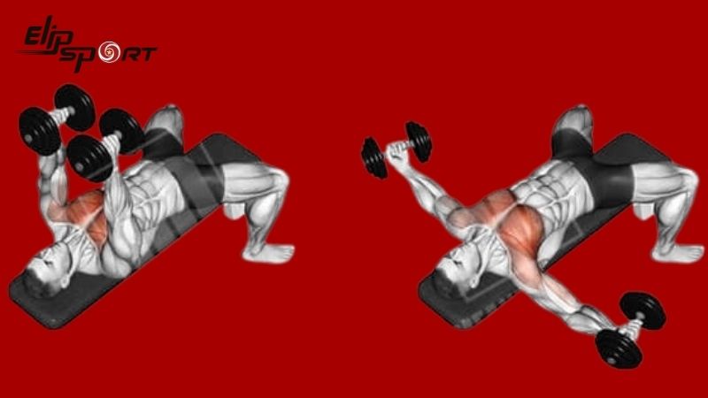 Hướng dẫn tập tạ tại nh&agrave; cho nam đơn giản