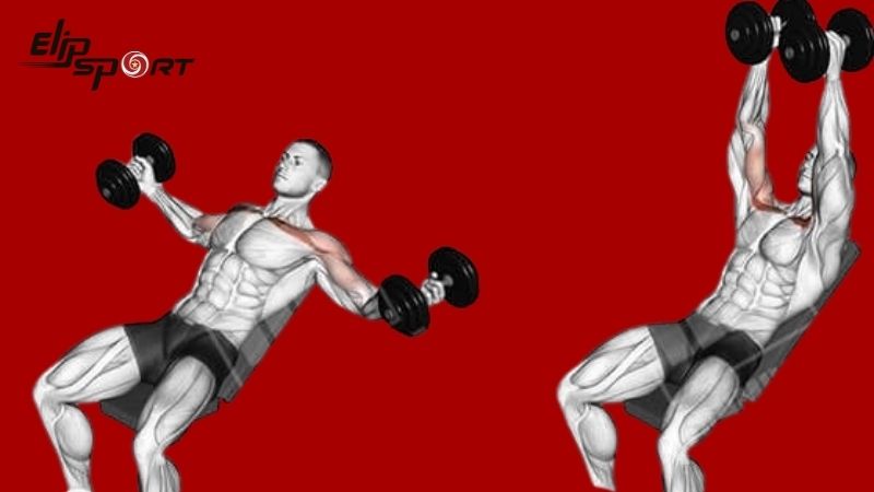 B&agrave;i tập Incline Dumbbell Flyes