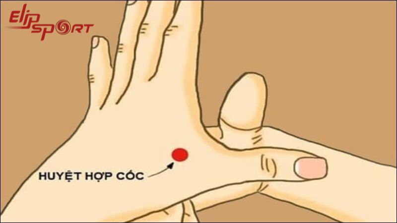 Bấm huyệt hợp cốc giúp giảm đau đầu, Link Mobile Đăng Nhập Jun88.com 2025