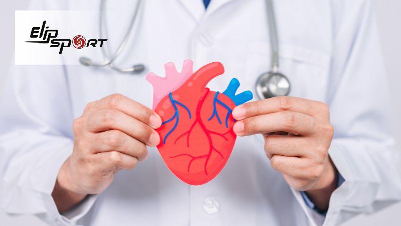 Hạt dưa gi&uacute;p cải thiện vấn đề tim mạch