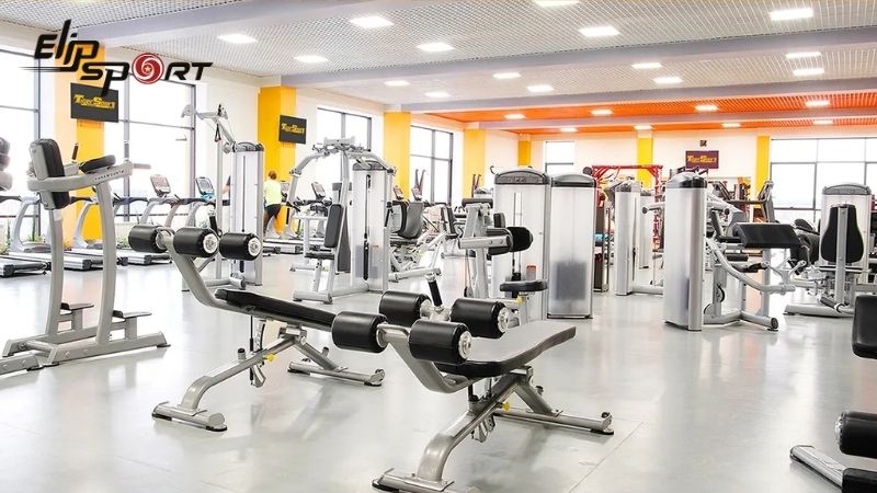 Tiger Sport cung cấp một loạt c&aacute;c sản phẩm thiết bị tập luyện chuy&ecirc;n nghiệp