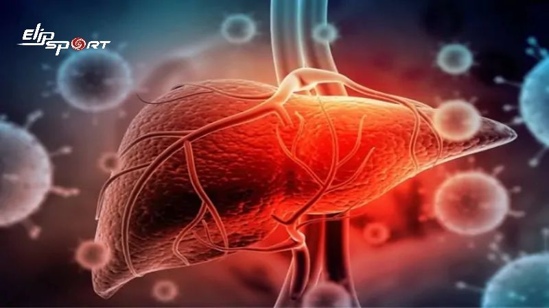 Coca hoặc c&aacute;c loại đồ uống c&oacute; gas kh&aacute;c c&oacute; thể g&acirc;y ra t&igrave;nh trạng qu&aacute; tải với gan