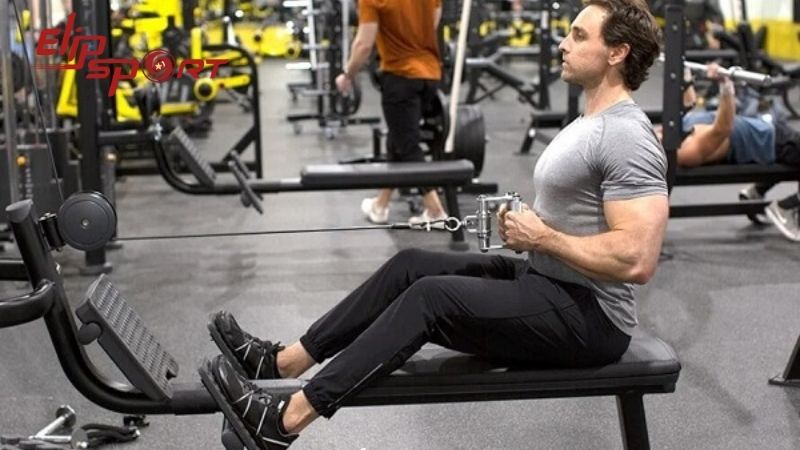  B&agrave;i tập Seated Cable Row g&iacute;up tăng cường sức mạnh cho phần lưng