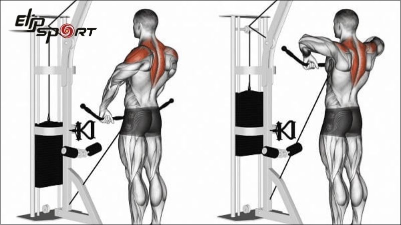 B&agrave;i tập vai sau t&aacute;c động ch&iacute;nh l&ecirc;n cơ vai sau v&agrave; vai ngo&agrave;i