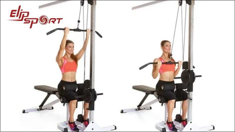 B&agrave;i tập Reverse Grip Lats Pulldown t&aacute;c động chủ yếu đến cơ lưng x&ocirc;