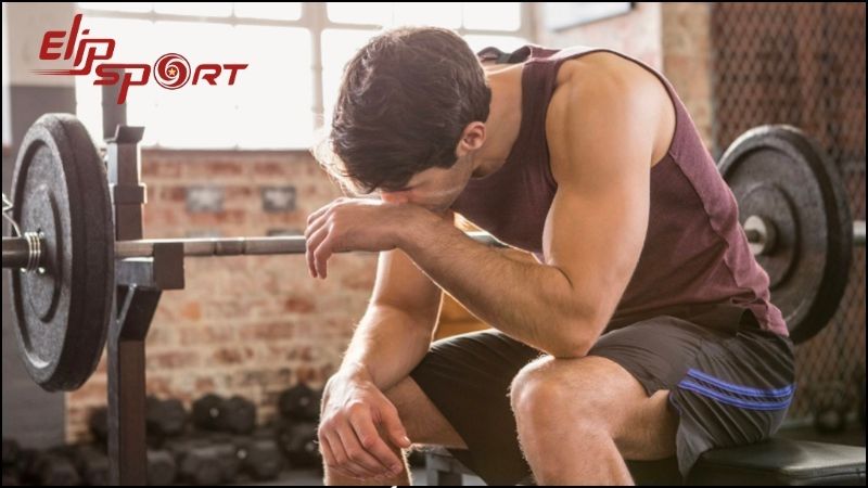 Gymnastics c&oacute; nguồn gốc từ từ Gymnasium, l&agrave; một h&igrave;nh thức vận động r&egrave;n luyện sức khỏe v&agrave; h&igrave;nh thể