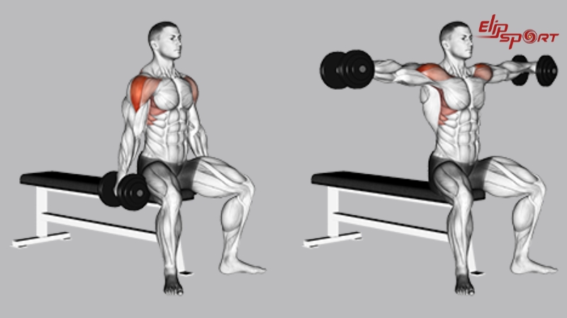 B&agrave;i tập Bent-Over Rear Deltoid Raise mang lại hiệu quả cực cao trong việc ph&aacute;t triển to&agrave;n diện cơ vai