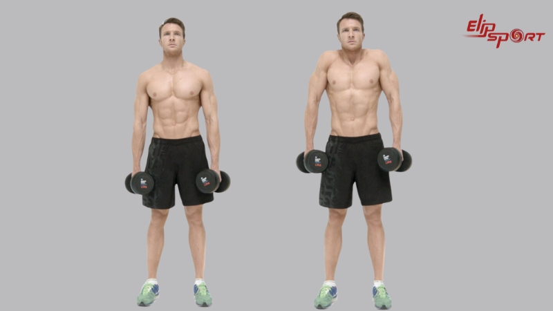 Shoulder Shrug l&agrave; b&agrave;i tập đơn giản nhưng hiệu quả cao