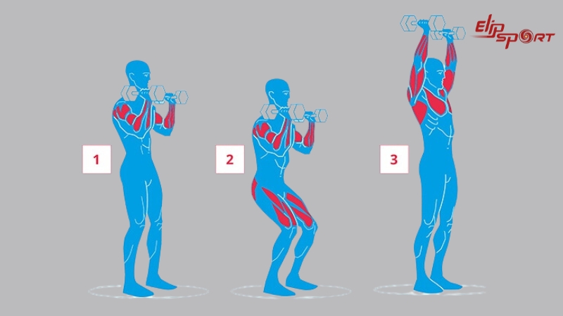 Push Press l&agrave; b&agrave;i tập compound (b&agrave;i tập đa khớp) hiệu quả cao