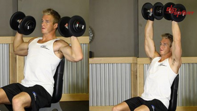 Back Supported Palms-In Shoulder Press l&agrave; b&agrave;i tập gi&uacute;p t&aacute;c động trực tiếp v&agrave;o cơ vai v&agrave; cơ tay sau