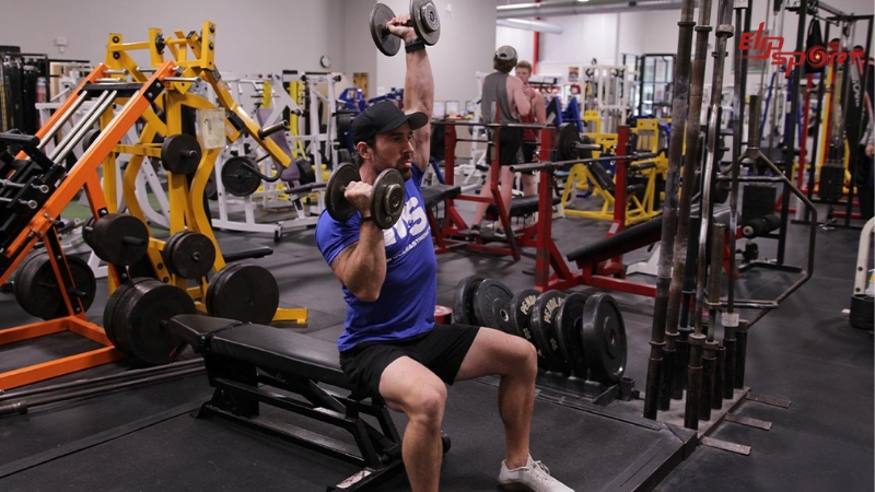 Seated Palms-In Alternated Shoulder Press được đ&aacute;nh gi&aacute; cao bởi c&aacute;c chuy&ecirc;n gia