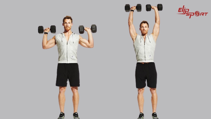 Shoulder Press được mệnh danh l&agrave; 