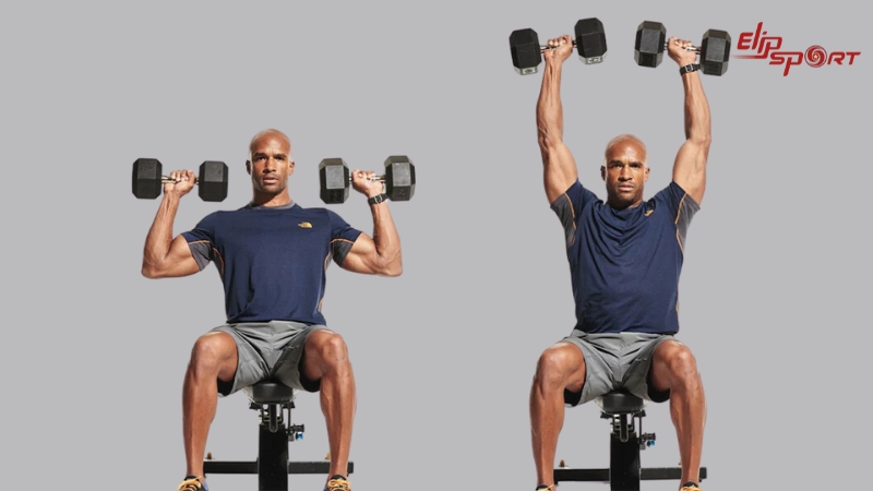 Seated Shoulder Press l&agrave; b&agrave;i tập thể h&igrave;nh hiệu quả
