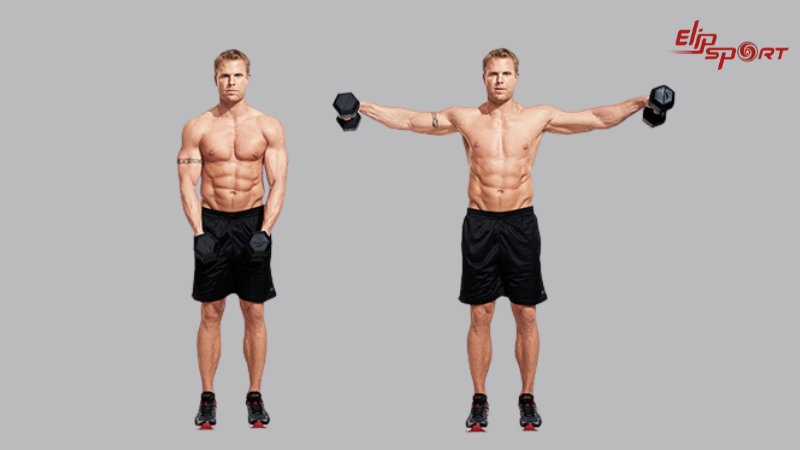 18 b&agrave;i tập vai với tạ đơn cơ bản hiệu quả si&ecirc;u đỉnh cho mọi gymer - ảnh 13