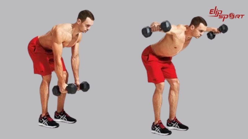 Luyện tập Bent-Over One-Arm Deltoid mang lại hiệu quả cao, gi&uacute;p bạn tăng cường sức mạnh