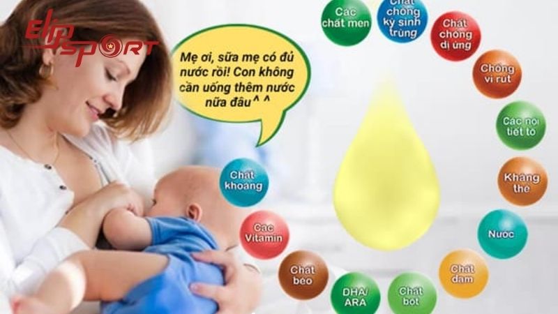 28ml sữa mẹ cung cấp 19-23 calo, 3.6% protein, 28.8-32.4% chất b&eacute;o v&agrave; 26.8-31.2% carbohydrate