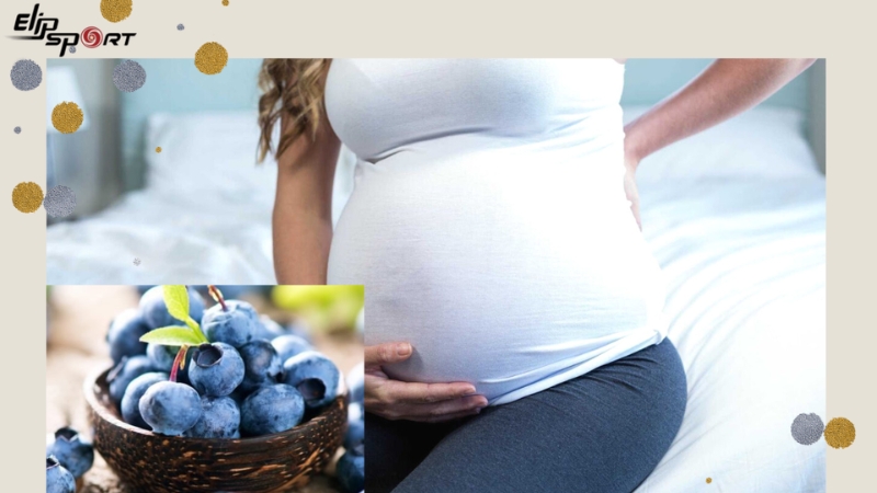 Mẹ bầu ăn việt quất với liều lượng vừa đủ gi&uacute;p tăng cường hệ thống miễn dịch