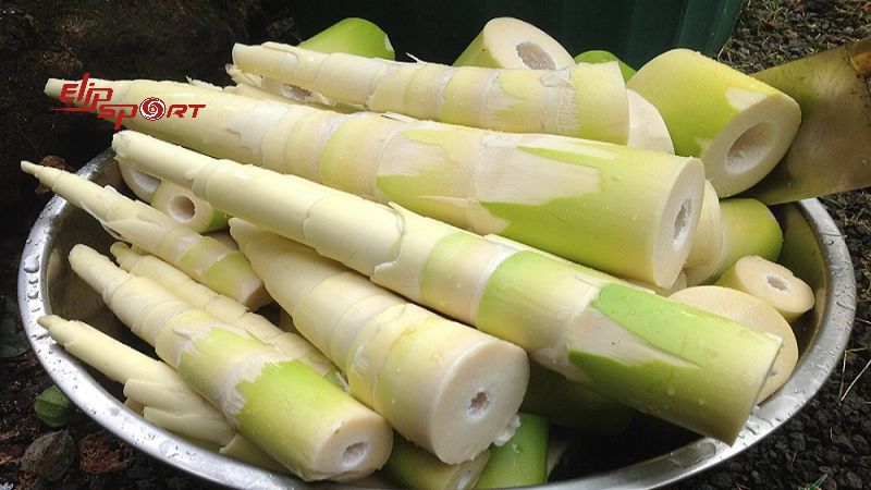 Măng tre l&agrave; phần non hoặc chồi của c&acirc;y tre, thường được thu hoạch khoảng 2 tuần tuổi