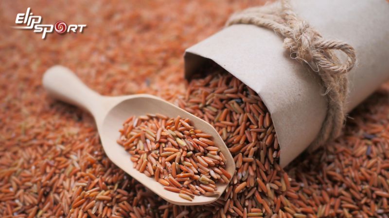 Ăn gạo lứt v&agrave;o buổi trưa để giảm c&acirc;n