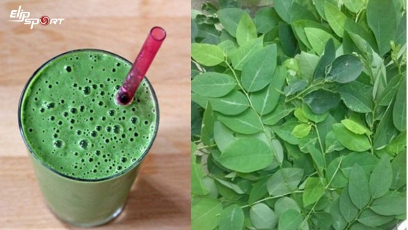 Rau ngót mang nhi&ecirc;̀u giá trị dinh dưỡng