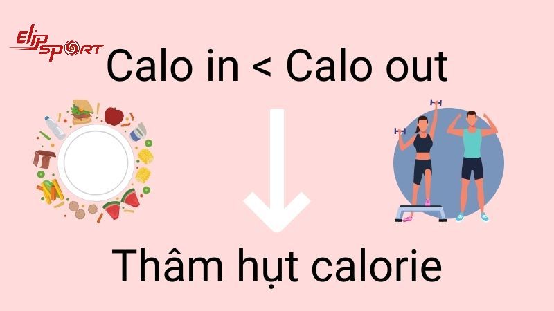 Lượng calo ra l&agrave; tổng năng lượng m&agrave; cơ thể sử dụng cho c&aacute;c hoạt động như vận động, h&ocirc; hấp, suy nghĩ v&agrave; ti&ecirc;u h&oacute;a