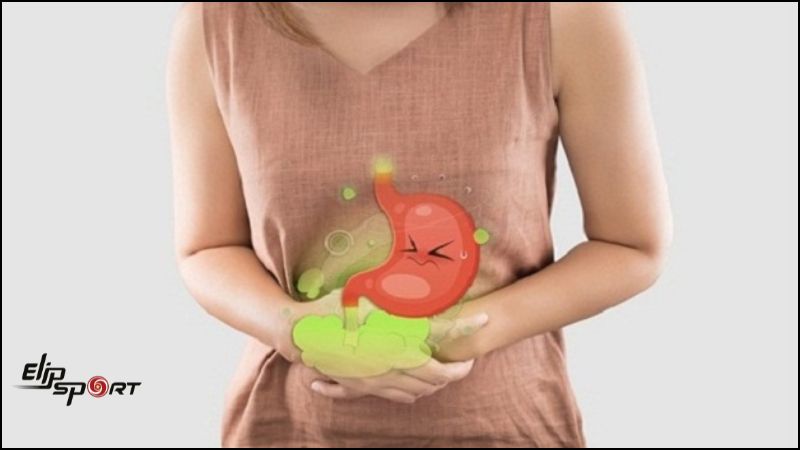 Sapoche chứa nhiều chất xơ, gi&uacute;p th&uacute;c đẩy hệ ti&ecirc;u h&oacute;a hoạt động hiệu quả