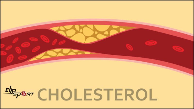 G&agrave; r&aacute;n chứa nhiều chất b&eacute;o b&atilde;o h&ograve;a, c&oacute; thể l&agrave;m tăng mức cholesterol xấu (LDL) trong m&aacute;u