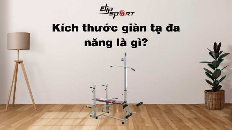 B&agrave;i viết n&agrave;y sẽ gi&uacute;p bạn giải đ&aacute;p mọi thắc mắc về k&iacute;ch thước gi&agrave;n tạ đa năng