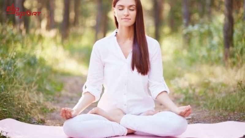 Ngồi thiền với tư thế đ&uacute;ng c&aacute;ch đ&oacute;ng một vai tr&ograve; quan trọng trong hiệu quả v&agrave; th&agrave;nh c&ocirc;ng