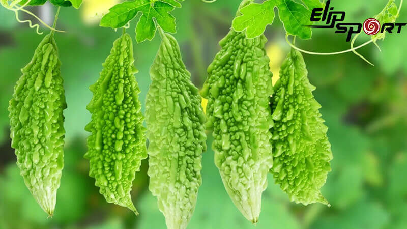 Khổ qua l&agrave; loại quả thuộc họ bầu b&iacute;