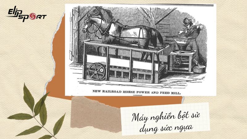 cần cẩu Polyspaston - Tiền th&acirc;n của m&aacute;y chạy bộ ng&agrave;y nay