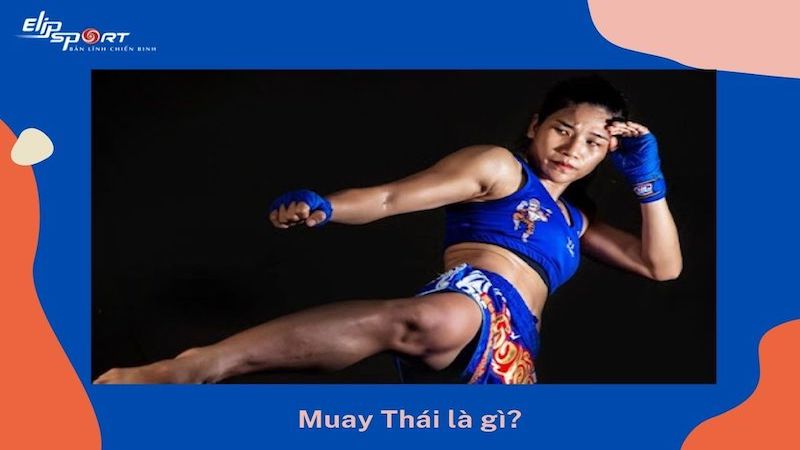 Muay Th&aacute;i l&agrave; g&igrave;?