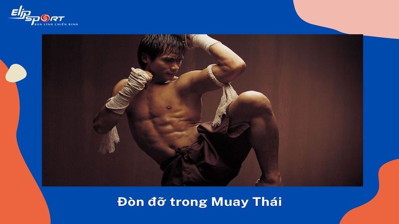 Đ&ograve;n đỡ trong Muay Th&aacute;i
