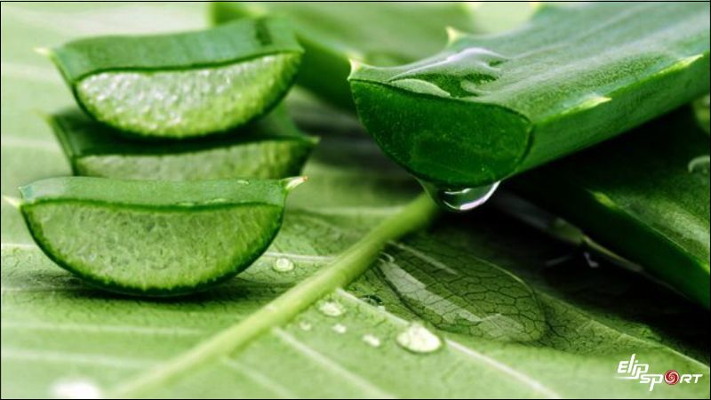 Trị mụ bằng nha đam