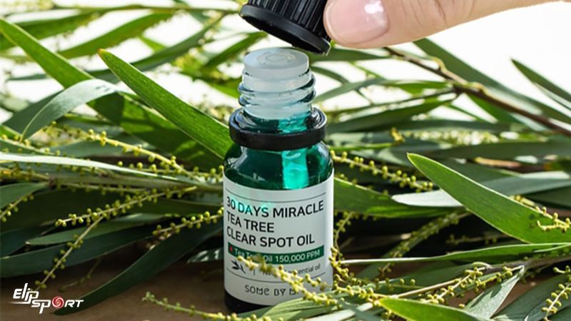 Trị mụn bằng tinh dầu tr&agrave;m tr&agrave;