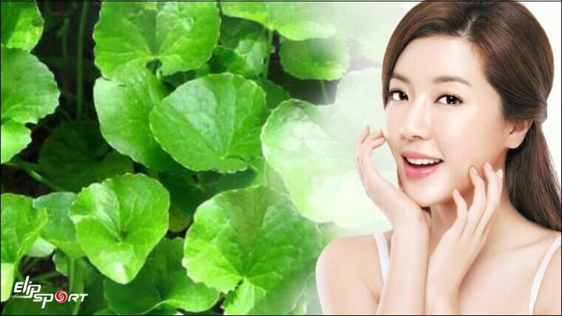 Trị mụn bằng rau m&aacute;